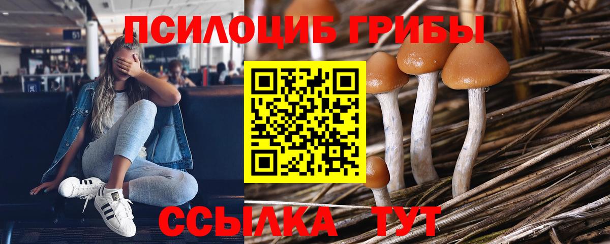 Галлюциногенные грибы прущие грибы  Вход с VPN  Орск 