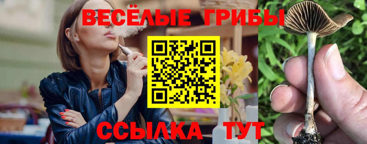 Галлюциногенные грибы мухоморы Орск